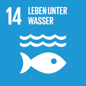SDG 14: Leben unter Wasser